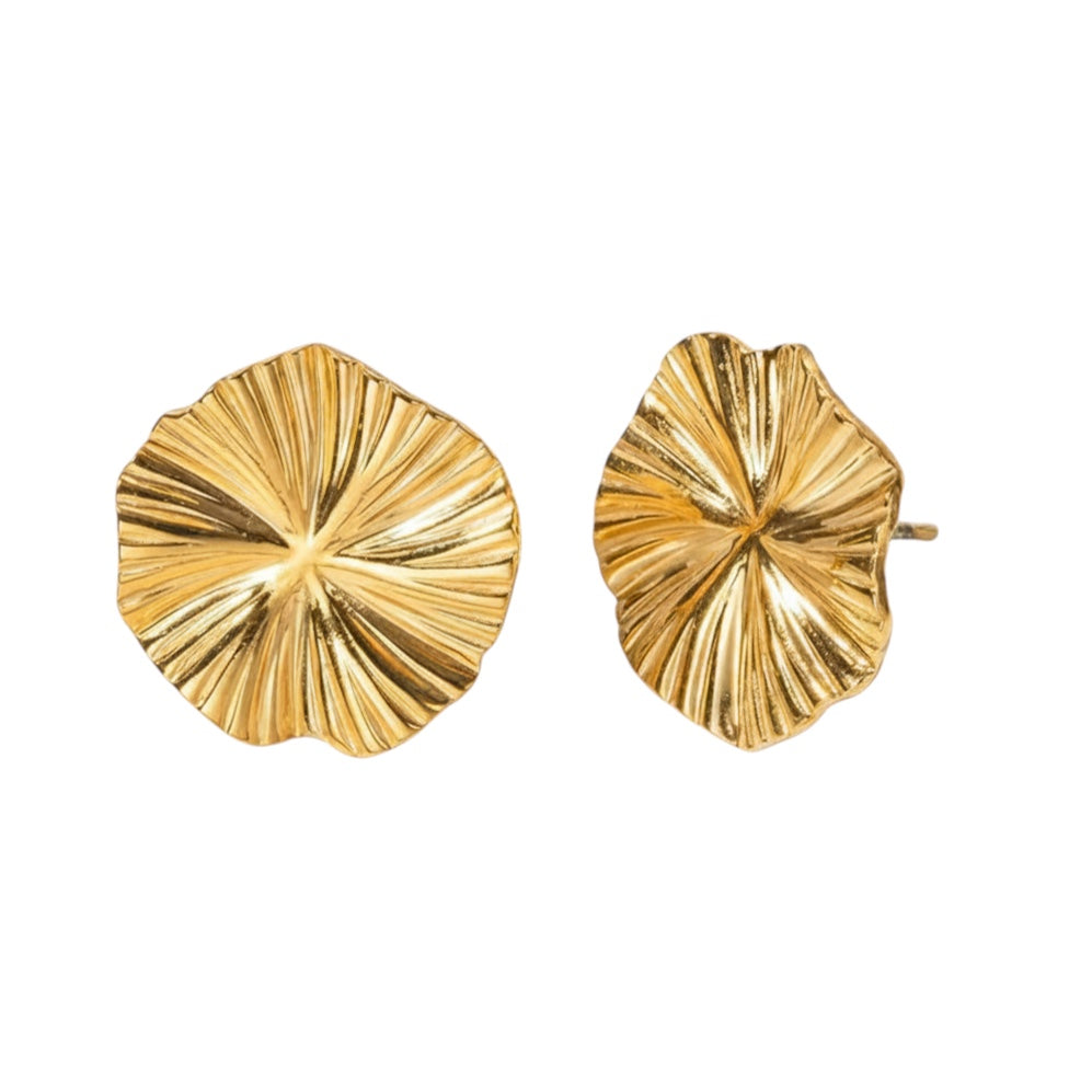 Pendientes "Evala"