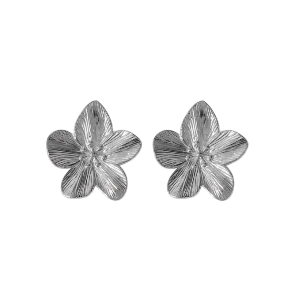 Pendientes "Perse"