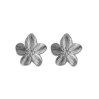 Pendientes "Perse"