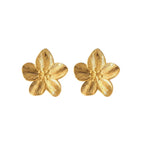Pendientes "Perse"