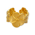 Anillo "Insitor"