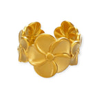 Anillo "Insitor"