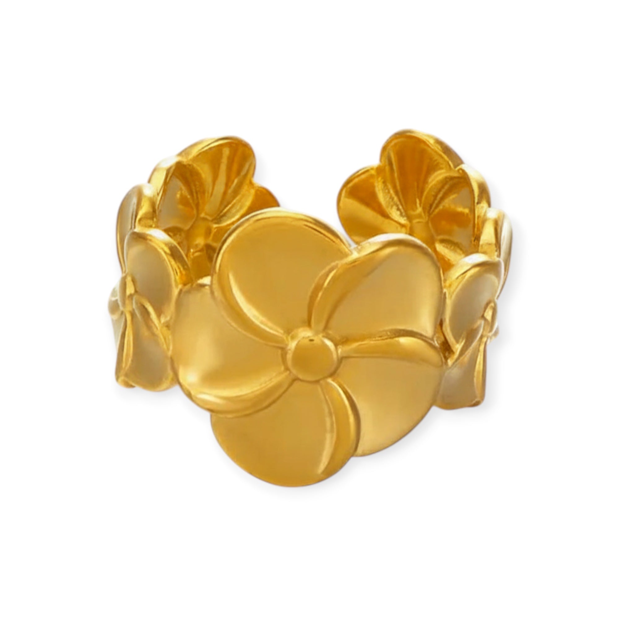 Anillo "Insitor"