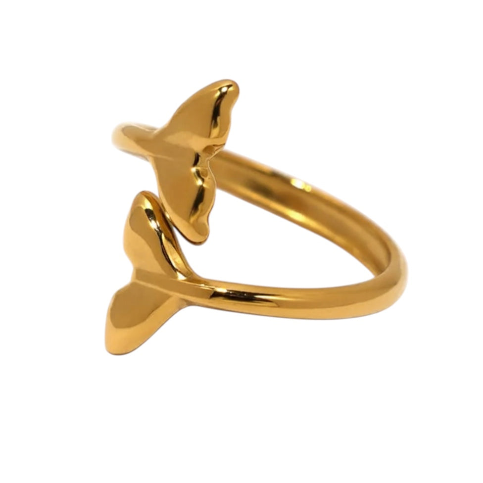 Anillo "Forcis"