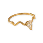 Anillo "Coventina"