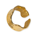 Anillo "Acrón"