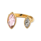 AnilloS "Ophio"