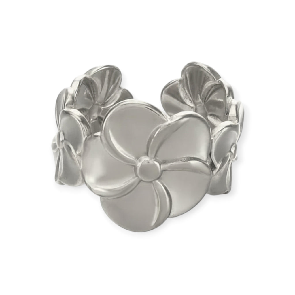 Anillo "Insitor"