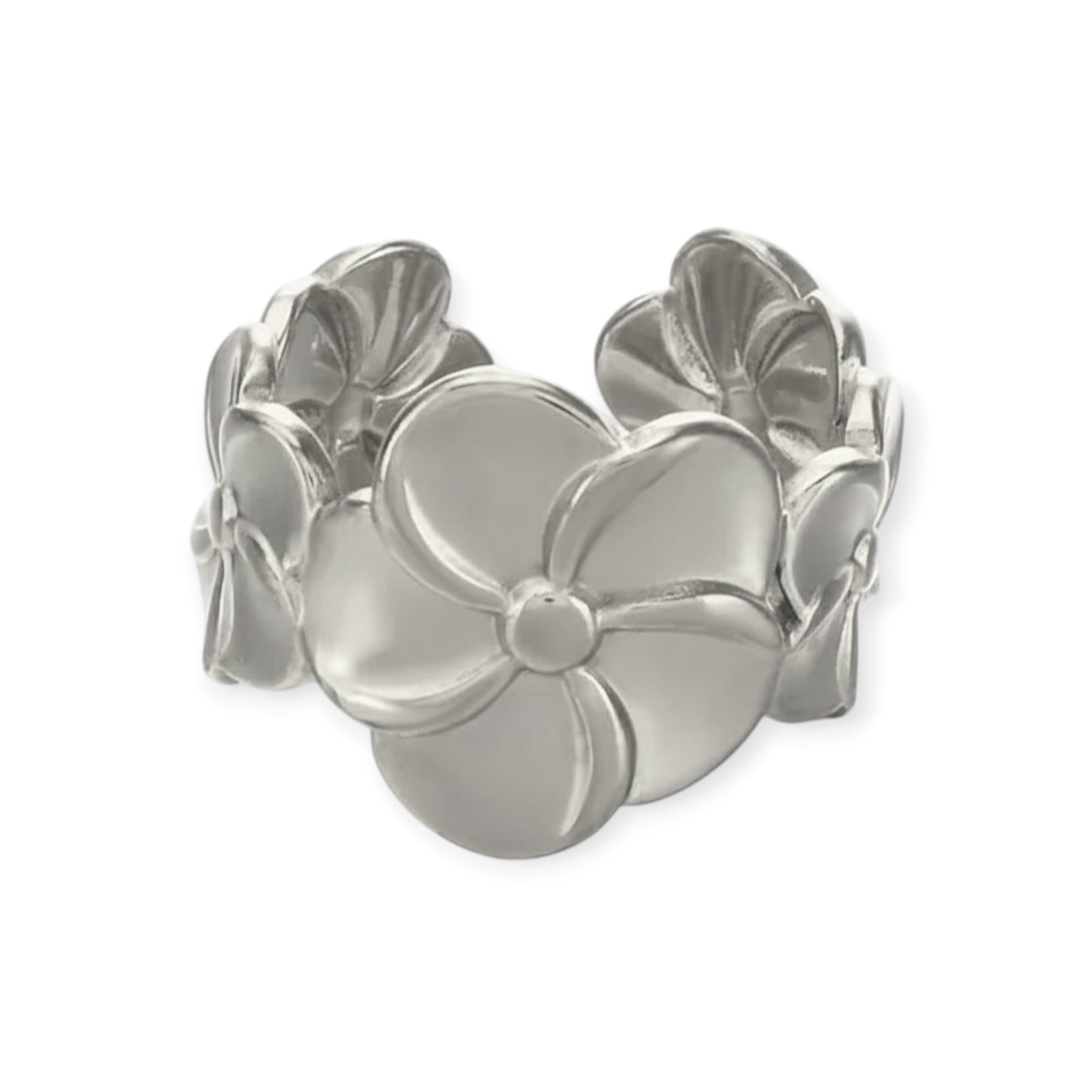 Anillo "Insitor"