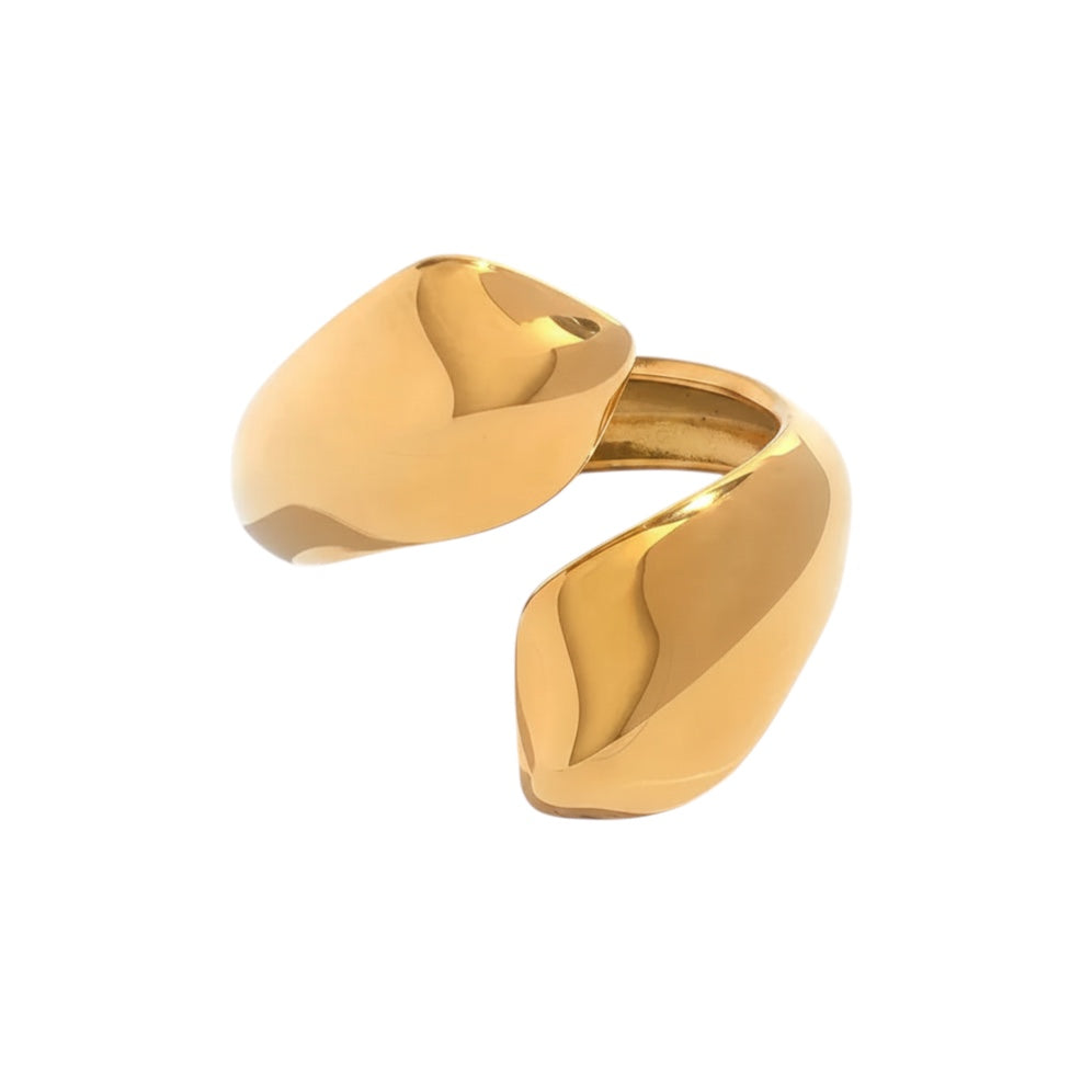 Anillo "Prema"